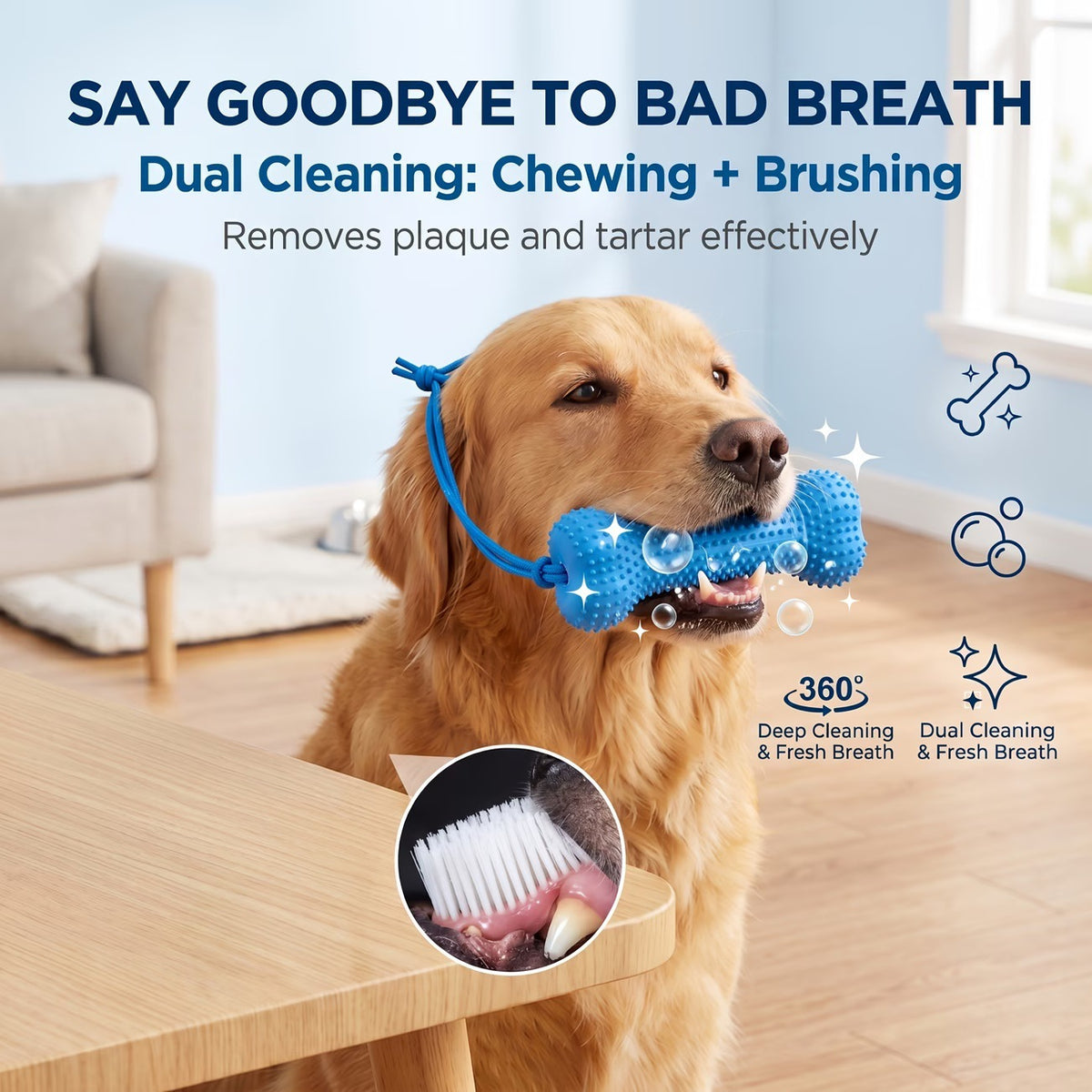 Dog Dental Care Kit 🐶✨ | 2-in-1 Silicone Chew Toy + Finger Toothbrush for Clean Teeth & Healthy Gums
