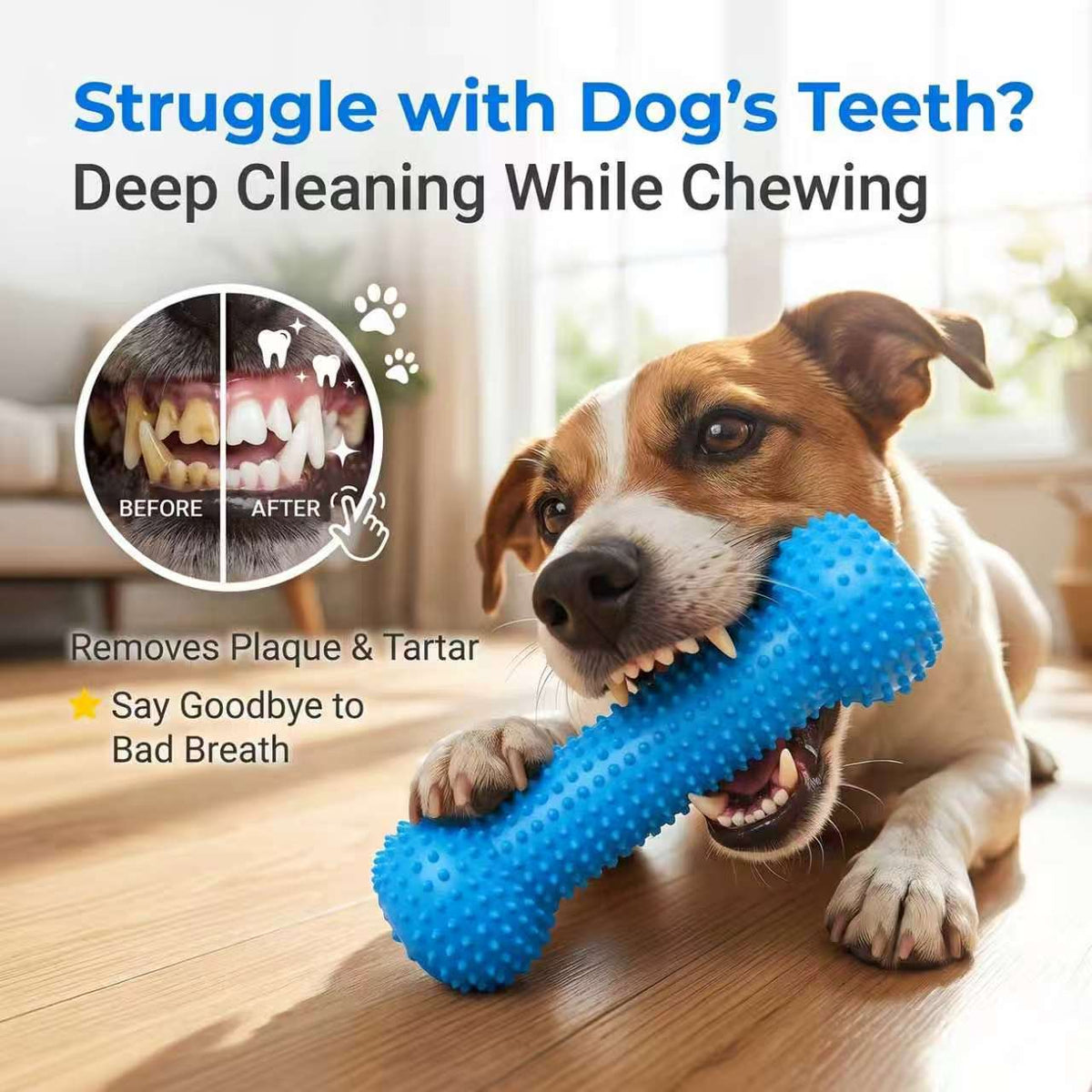 Dog Dental Care Kit 🐶✨ | 2-in-1 Silicone Chew Toy + Finger Toothbrush for Clean Teeth & Healthy Gums